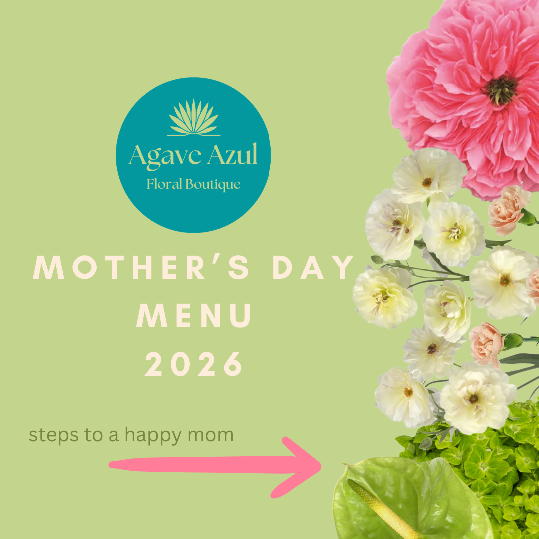 Home | Agave Azul Floral Boutique